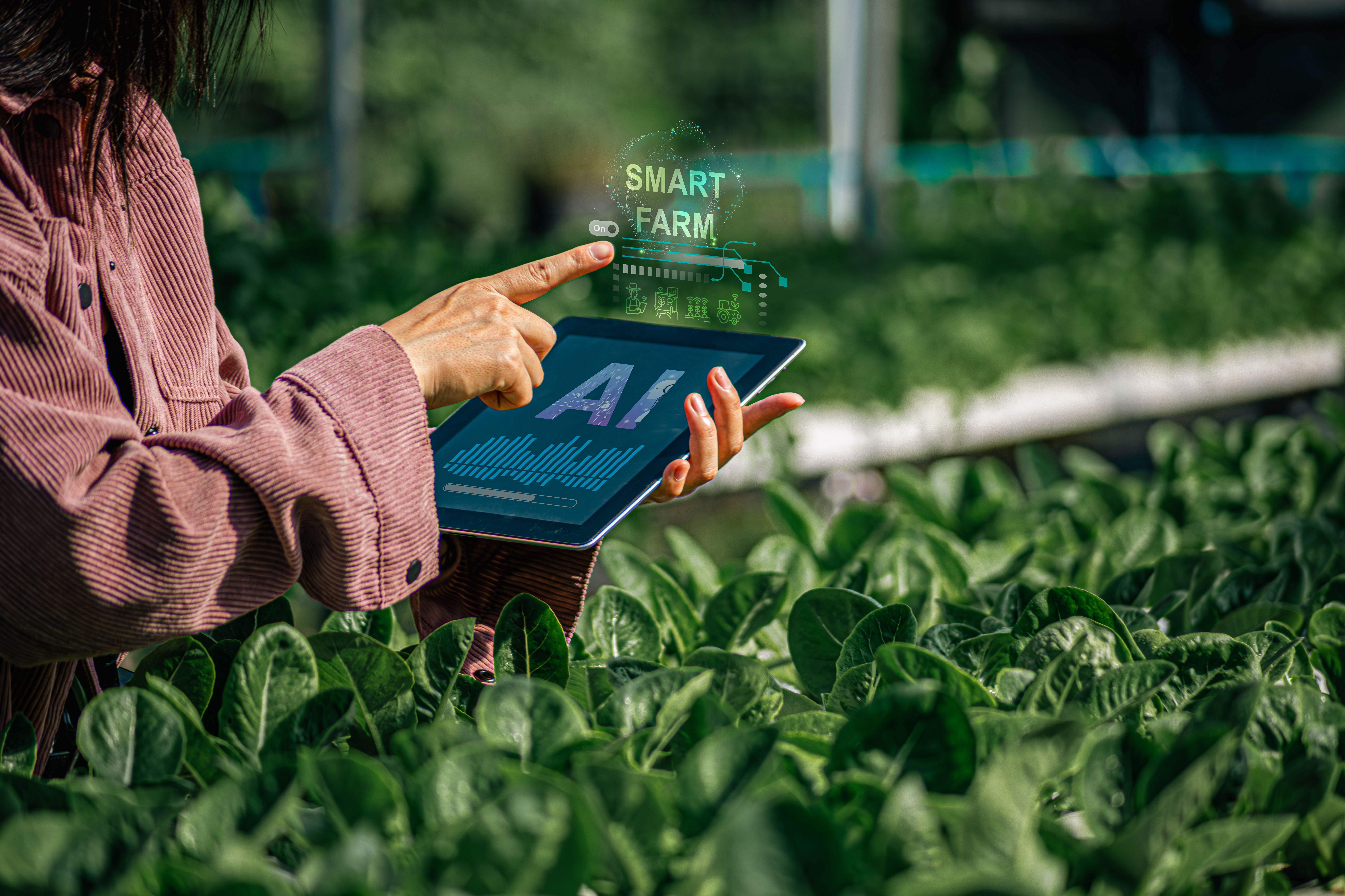 Smart Farm