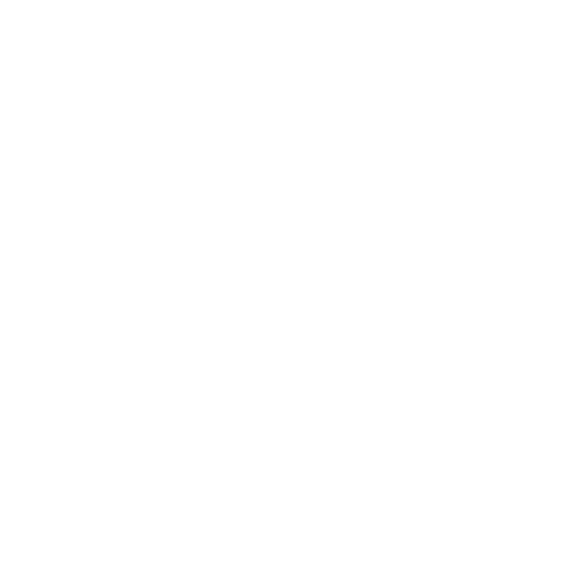 Visitor
